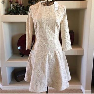 Bebe Frosty 3/4 Sleeve Lace Fit & Flare